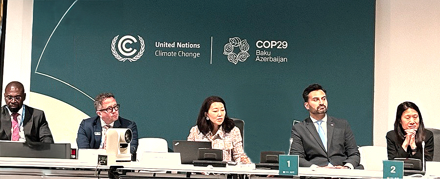 MSCI Sustainability Institute panel at COP29